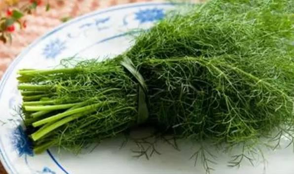 煮面条用热水还是冷水？答案意想不到